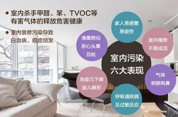 裝修污染早已伸向了學校？中學生無緣高考的背后是什么？